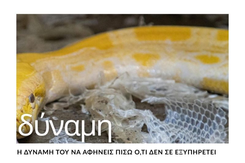 Η ΔΥΝΑΜΗ ΤΟΥ ΝΑ ΑΦΗΝΕΙΣ ΠΙΣΩ ΟΤΙ ΔΕΝ ΣΕ ΕΞΥΠΗΡΕΤΕΙ