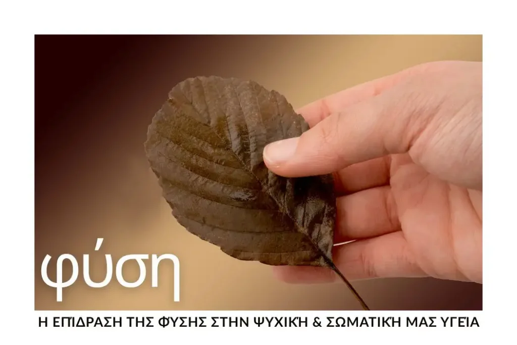 i-fysi-os-epanafora-gia-nou-kai-soma-stin-kathimerinotita