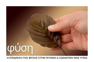 i-fysi-os-epanafora-gia-nou-kai-soma-stin-kathimerinotita