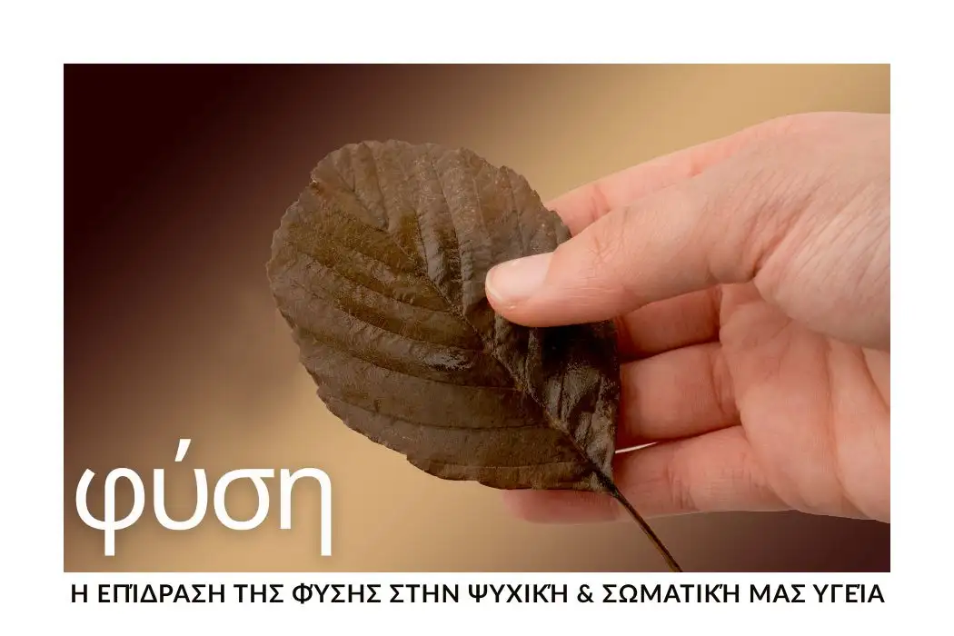 i-fysi-os-epanafora-gia-nou-kai-soma-stin-kathimerinotita