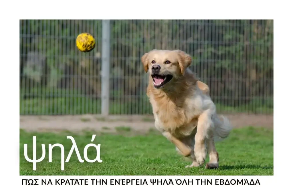 pos-na-kratate-tin-energeia-psila-oli-tin-evdomada