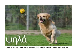 pos-na-kratate-tin-energeia-psila-oli-tin-evdomada